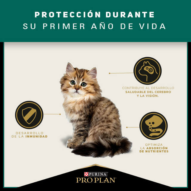 Alimento para gatitos PURINA PRO PLAN Kitten Alimento para gatitos PURINA PRO PLAN Kitten