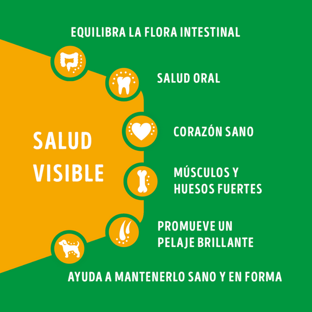 Purina Dog Chow Adultos Razas Pequeñas Carne y Pollo 8kg Purina Dog Chow Adultos Razas Pequeñas Carne y Pollo 8kg