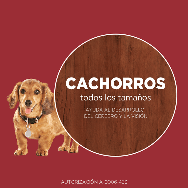 Alimento Seco Para Perro Purina® One® Cachorro Pollo Y Carne Alimento Seco Para Perro Purina® One® Cachorro Pollo Y Carne