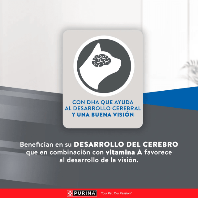 Excellent Cat Kitten 1 Kg Excellent Cat Kitten 1 Kg