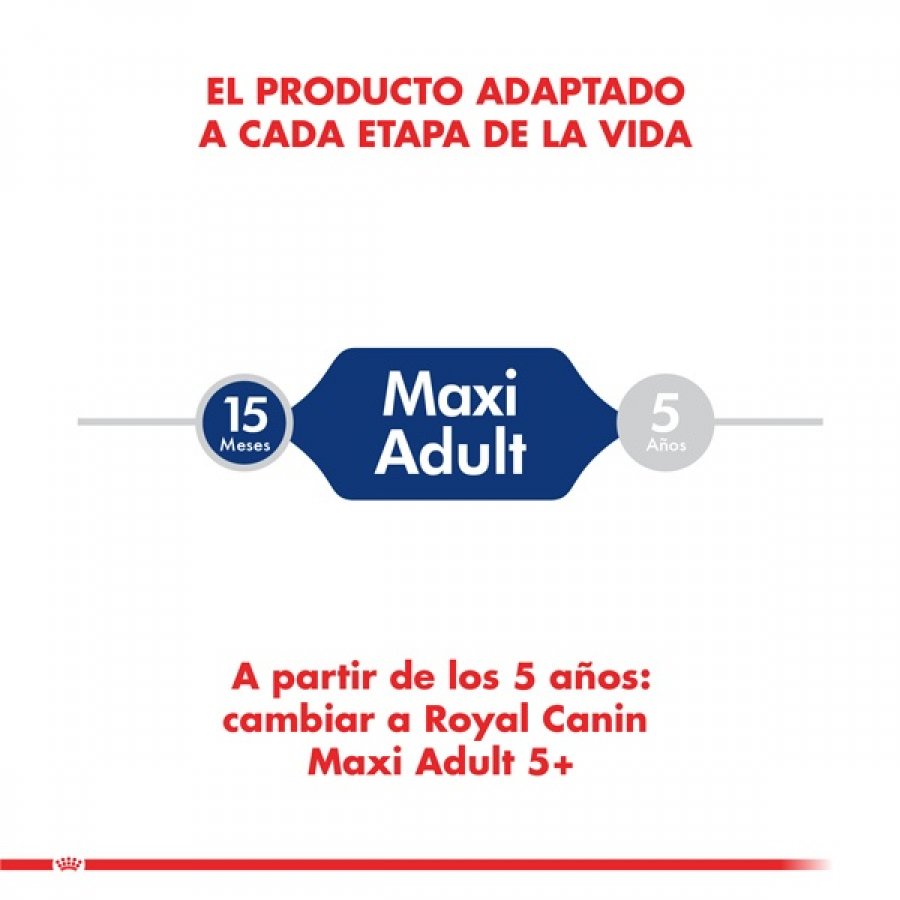 Royal Canin Maxi Adulto 12Kg