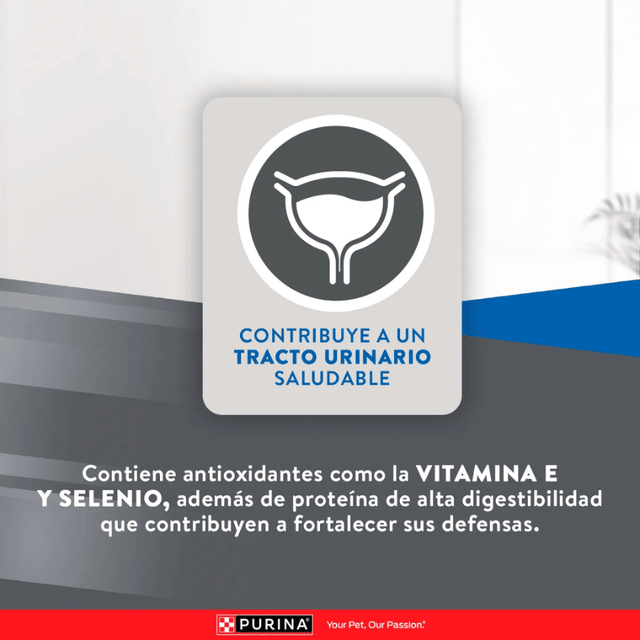 Excellent Cat Adult 3 Kg Excellent Cat Adult 3 Kg