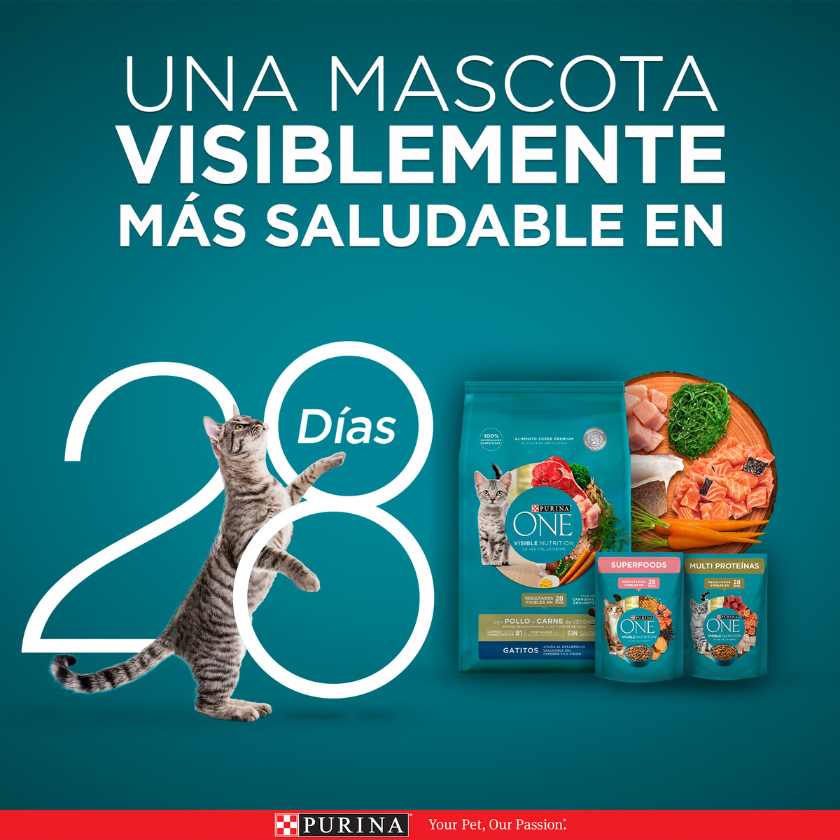 Alimento seco para gato PURINA® ONE® Adulto Pollo y Carne 2kg