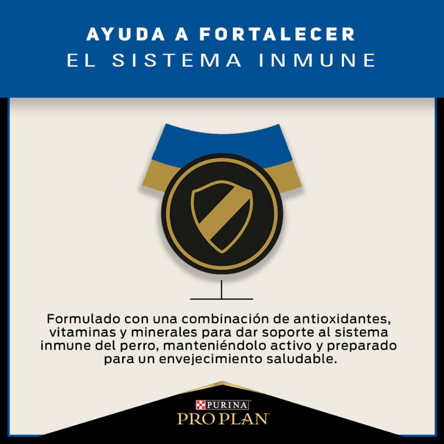 Purina Pro Plan Active Mind 7+ Small con OptiAge 3kg  Purina Pro Plan Active Mind 7+ Small con OptiAge 3kg