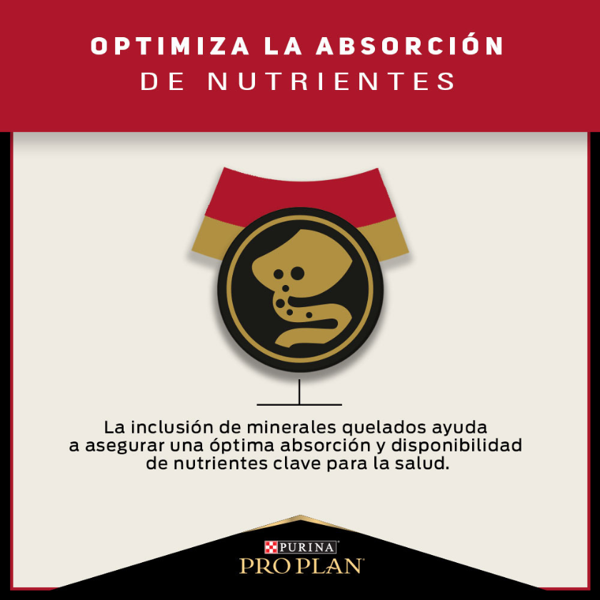 Alimento para Gatos PURINA PRO PLAN Adult 3kg