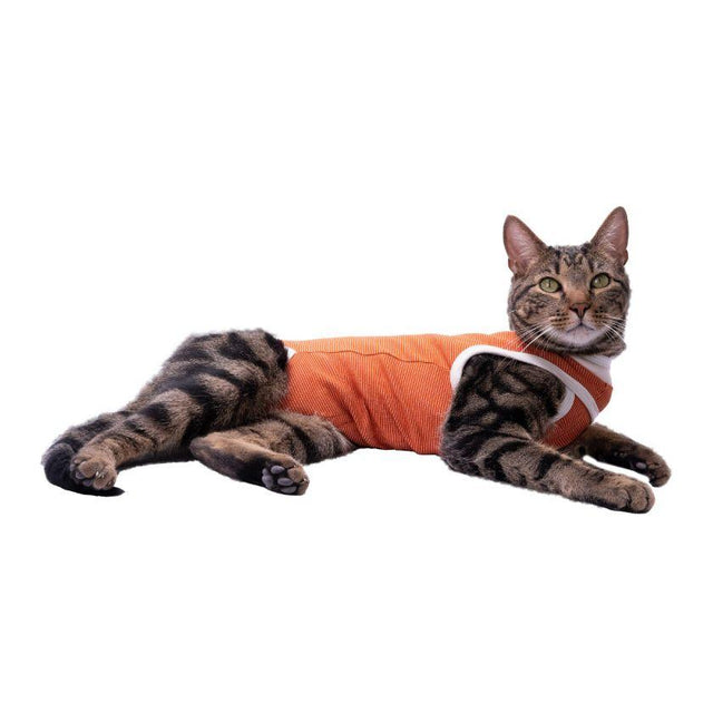 BodyCobre Tradicional Postoperatorio  BodyCobre Tradicional Postoperatorio