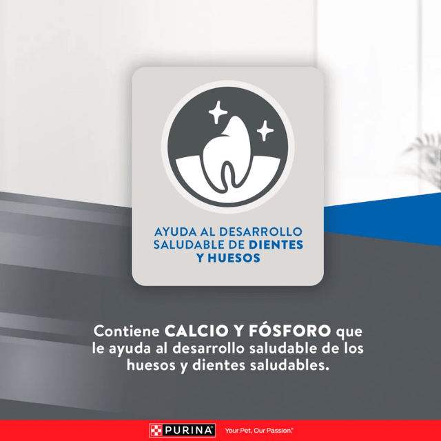 Excellent Cat Kitten 1 Kg Excellent Cat Kitten 1 Kg