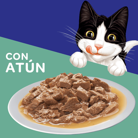 Alimento Húmedo para Gatos Felix Adultos Atun En Salsa 85Gr Pack 15 Unidades Alimento Húmedo para Gatos Felix Adultos Atun En Salsa 85Gr Pack 15 Unidades
