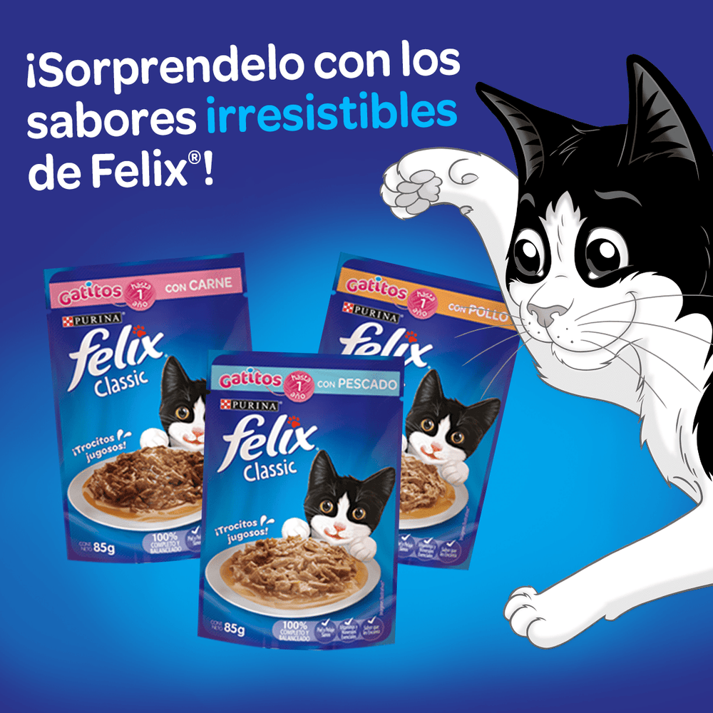 Felix Gatitos Carne En Salsa 85Gr Pack 15 Unidades