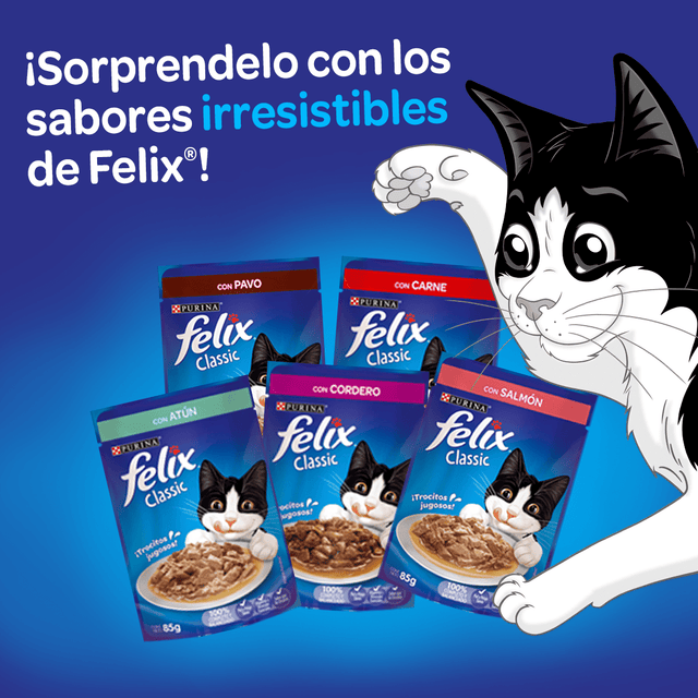 Felix Adultos Carne En Salsa 85Gr  Felix Adultos Carne En Salsa 85Gr