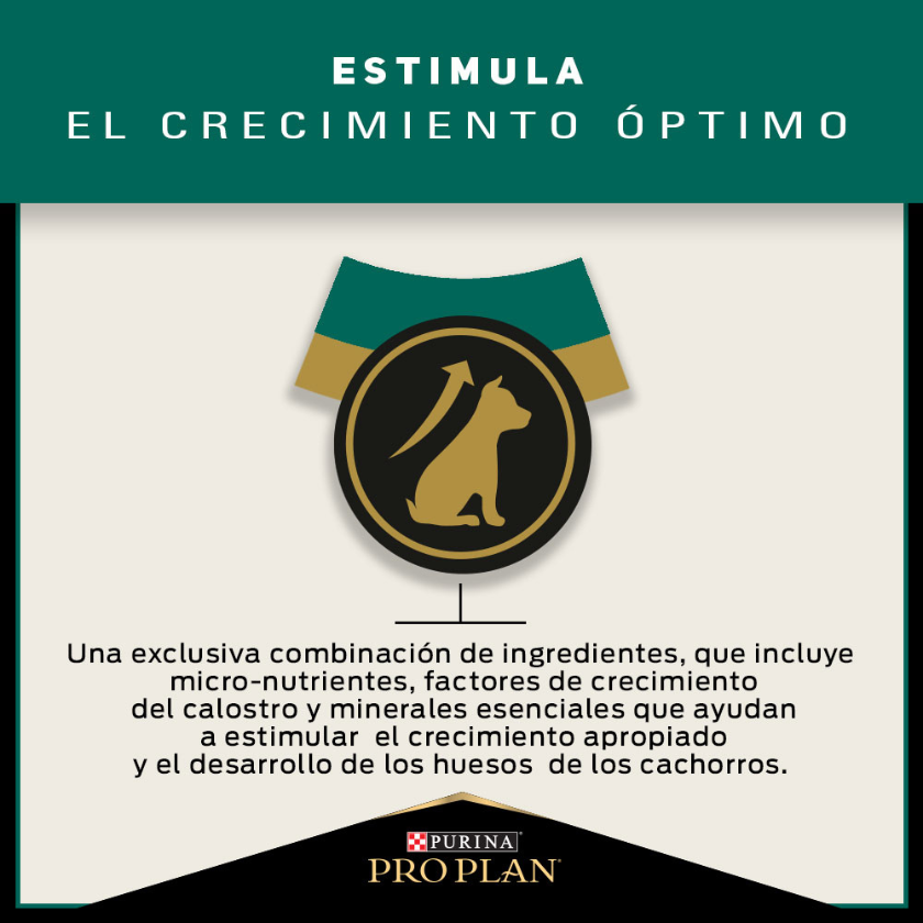 Purina Pro Plan Puppy Large con OptiStar 15kg