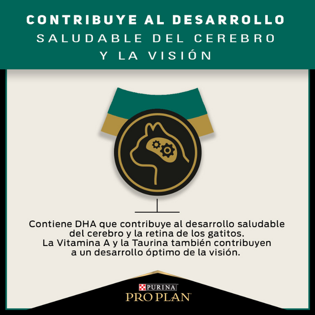 Alimento para gatitos PURINA PRO PLAN Kitten Alimento para gatitos PURINA PRO PLAN Kitten