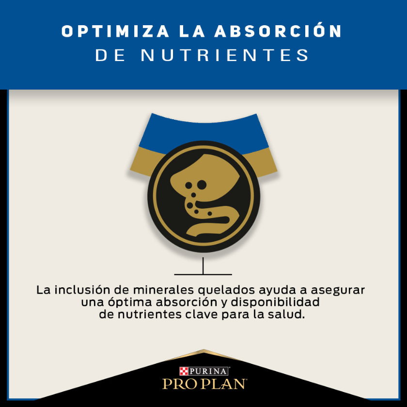 Alimento para gatos Senior PURINA PRO PLAN Adult 7+ 3kg