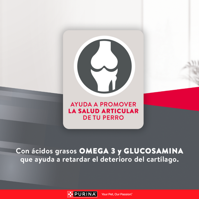 Purina EXCELLENT Perros Adultos Razas Medianas y Grandes 12kg Purina EXCELLENT Perros Adultos Razas Medianas y Grandes 12kg