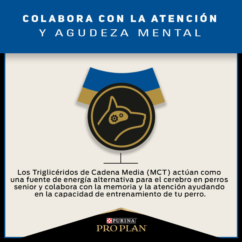 Purina Pro Plan Active Mind 7+ Small con OptiAge 7.5kg