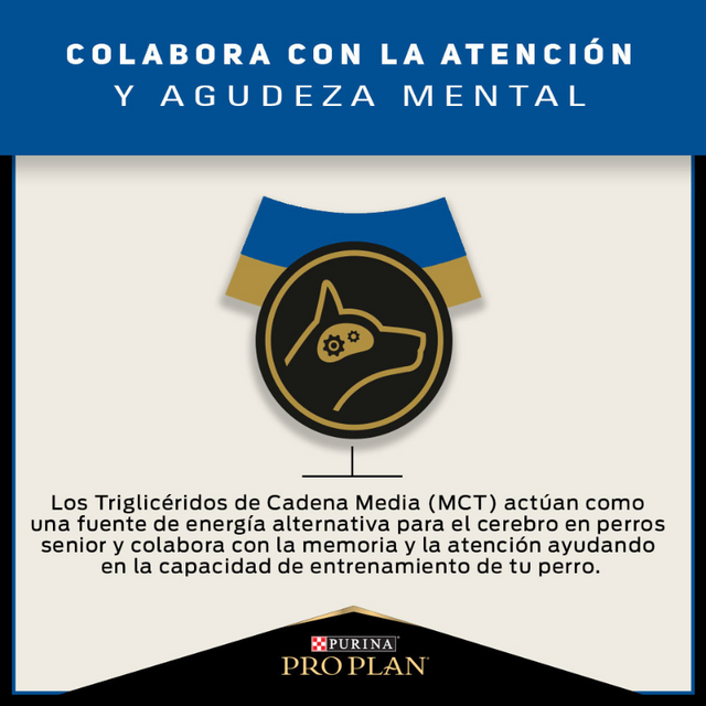 Purina Pro Plan Active Mind 7+ Medium and Large con OptiAge 15kg  Purina Pro Plan Active Mind 7+ Medium and Large con OptiAge 15kg