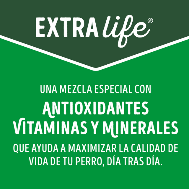 Purina Dog Chow Adultos Razas Pequeñas Carne y Pollo 8kg Purina Dog Chow Adultos Razas Pequeñas Carne y Pollo 8kg