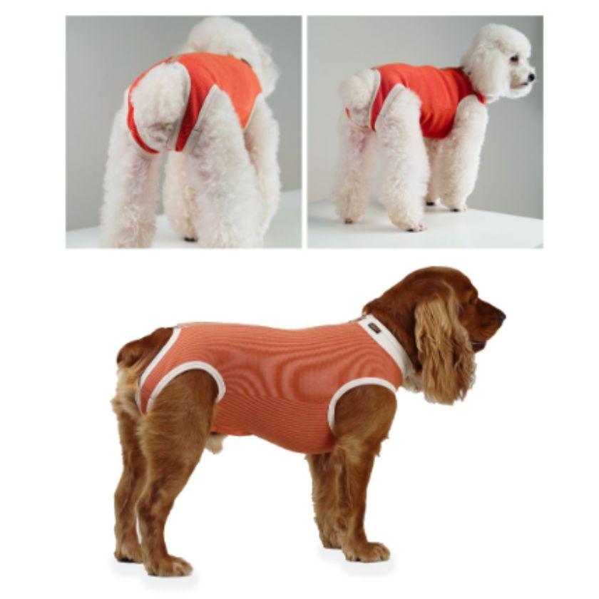 BodyCobre Tradicional Postoperatorio