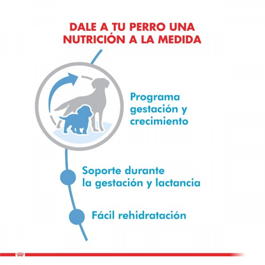 Royal Canin Medium Starter 3kg