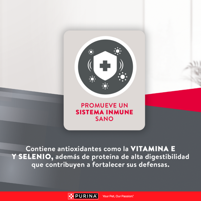 Purina EXCELLENT Perros Adultos Razas Medianas y Grandes 12kg Purina EXCELLENT Perros Adultos Razas Medianas y Grandes 12kg