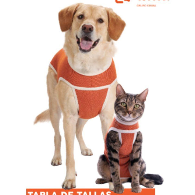 BodyCobre Tradicional Postoperatorio  BodyCobre Tradicional Postoperatorio