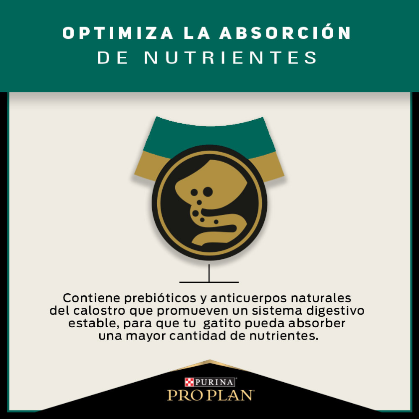 Purina Pro Plan Cat Kitten con OptiStart 3kg