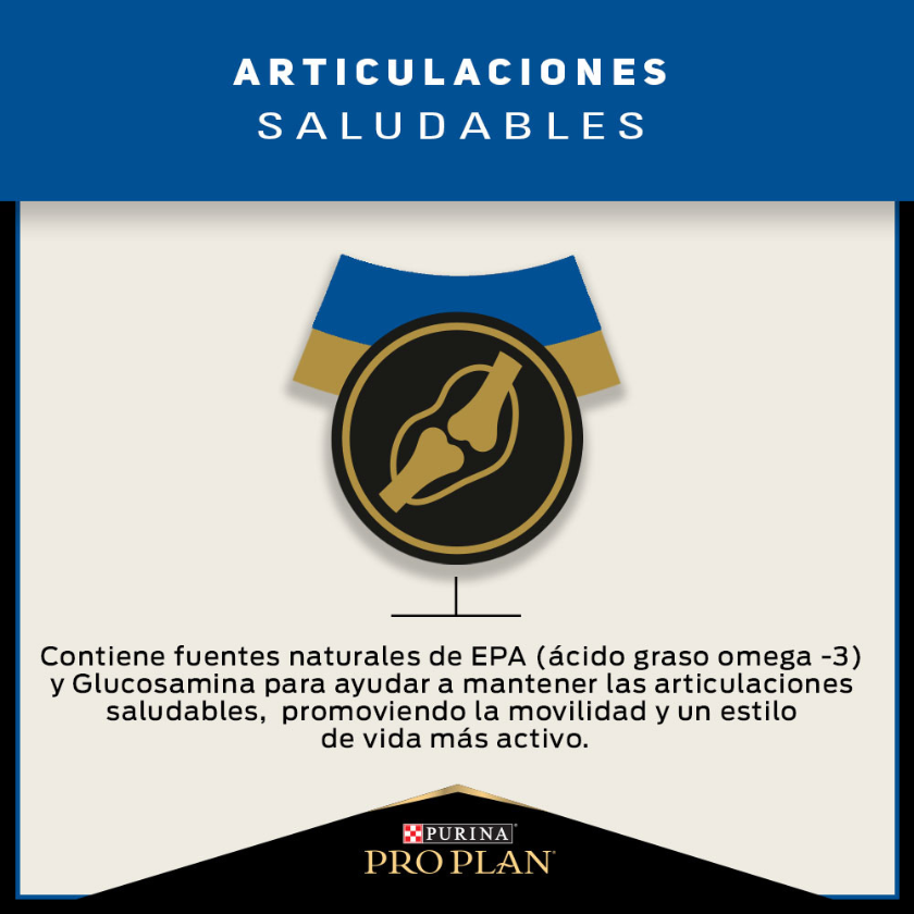 Purina Pro Plan Active Mind 7+ Medium and Large con OptiAge 15kg