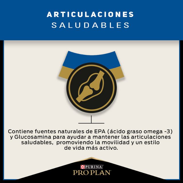 Purina Pro Plan Active Mind 7+ Medium and Large con OptiAge 15kg  Purina Pro Plan Active Mind 7+ Medium and Large con OptiAge 15kg