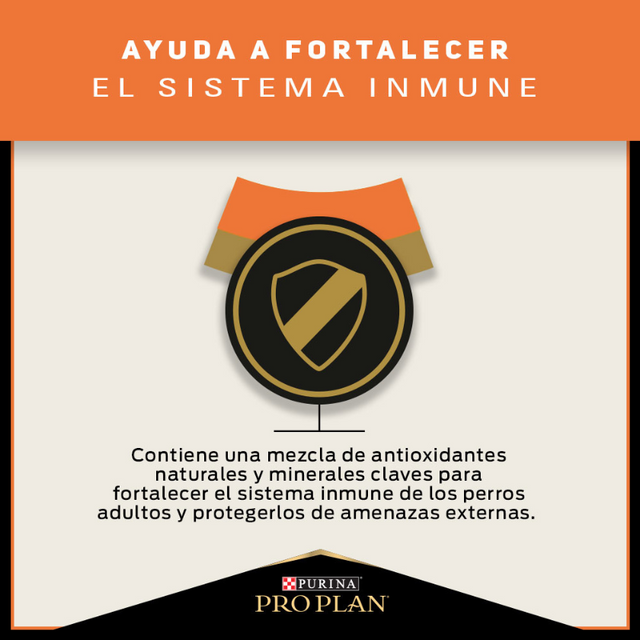 Purina Pro Plan Adulto Raza Mediana y Grande Sensitive Skin Salmon 12 kg Purina Pro Plan Adulto Raza Mediana y Grande Sensitive Skin Salmon 12 kg