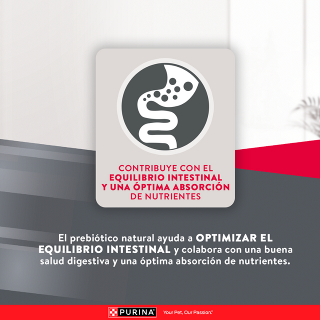 Purina EXCELLENT Perros Adultos Razas Medianas y Grandes 12kg Purina EXCELLENT Perros Adultos Razas Medianas y Grandes 12kg