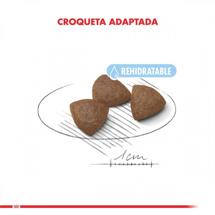 Royal Canin Medium Starter 3kg