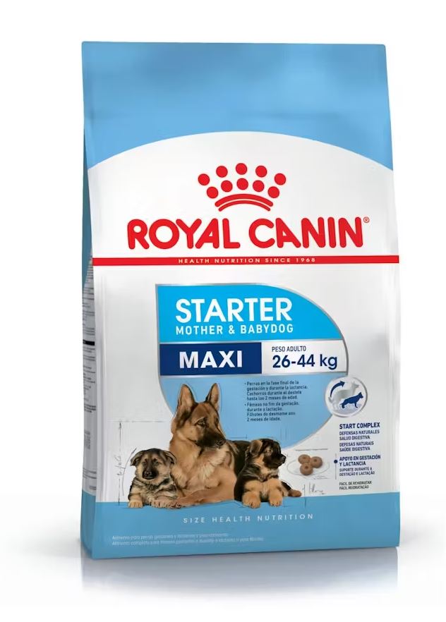 Royal Canin Maxi Starter 10kg  Royal Canin Maxi Starter 10kg