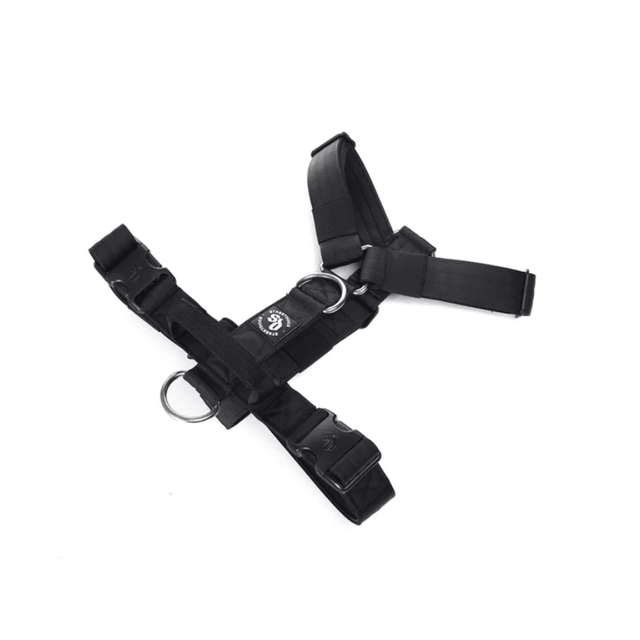 StreetDogs Arnés Strap Black  StreetDogs Arnés Strap Black