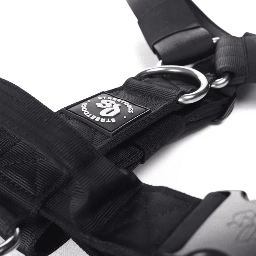 StreetDogs Arnés Strap Black