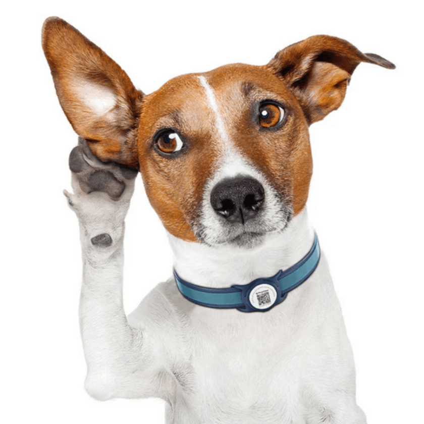 StreetDogs PET ID TAG5