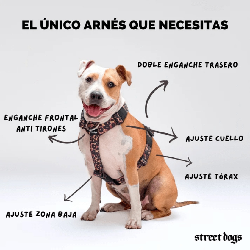 StreetDogs Arnés Strap Black