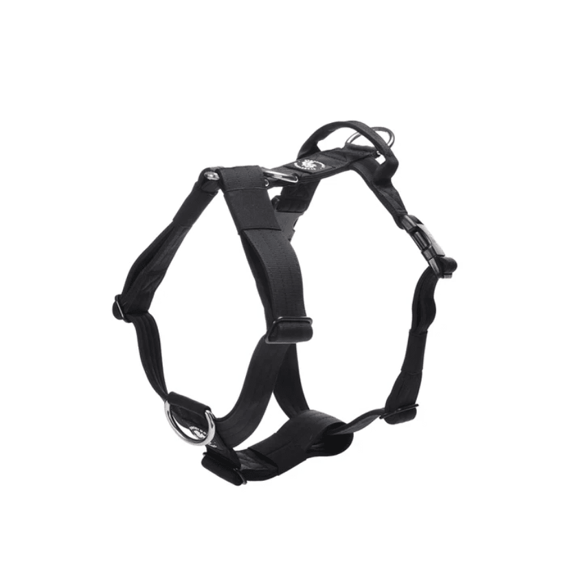 StreetDogs Arnés Strap Black