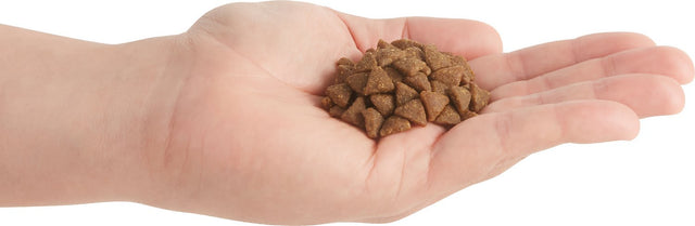 Acana Cat Bountiful Catch 1 8Kg Acana Cat Bountiful Catch 1 8Kg