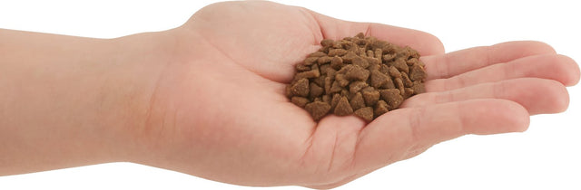 Acana Cat First Feast 1 8Kg Acana Cat First Feast 1 8Kg
