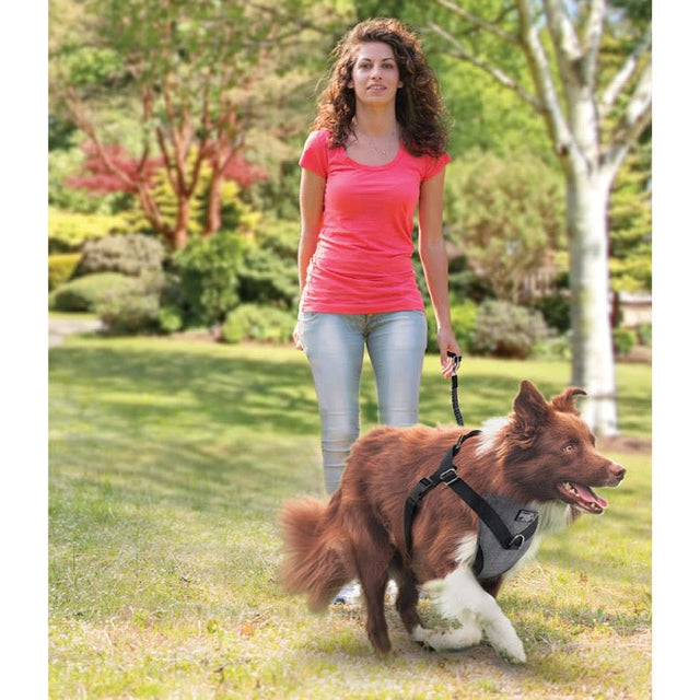 Afp Travel Dog Arnes De Seguridad Xl Afp Travel Dog Arnes De Seguridad Xl