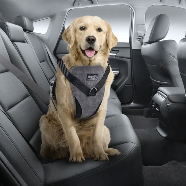 Afp Travel Dog Arnes De Seguridad L  Afp Travel Dog Arnes De Seguridad L