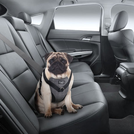 AFP All For Paws Afp Travel Dog Arnes De Seguridad M AFP All For Paws Afp Travel Dog Arnes De Seguridad M