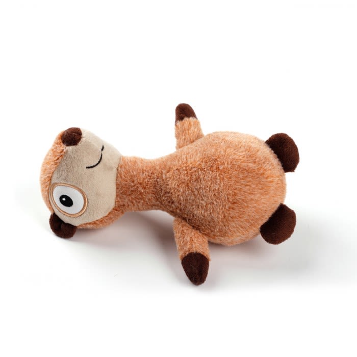 Afp Ultrasonic Ardilla