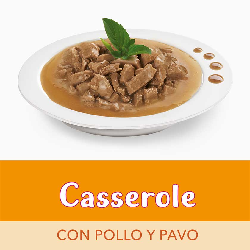 Alimento Fancy Feast Casserole Pollo Y Pavo 85G
