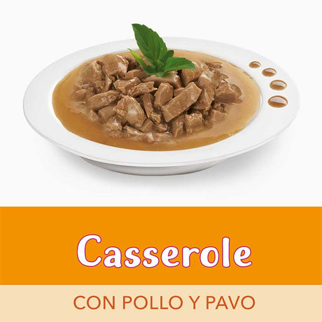 Snack - Halloween Alimento Fancy Feast Casserole Pollo Y Pavo 85G Snack - Halloween Alimento Fancy Feast Casserole Pollo Y Pavo 85G