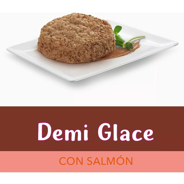 Alimento Humedo Fancy Feast Demi Glace Salmon 85G Pack 15 Unidades Alimento Humedo Fancy Feast Demi Glace Salmon 85G Pack 15 Unidades