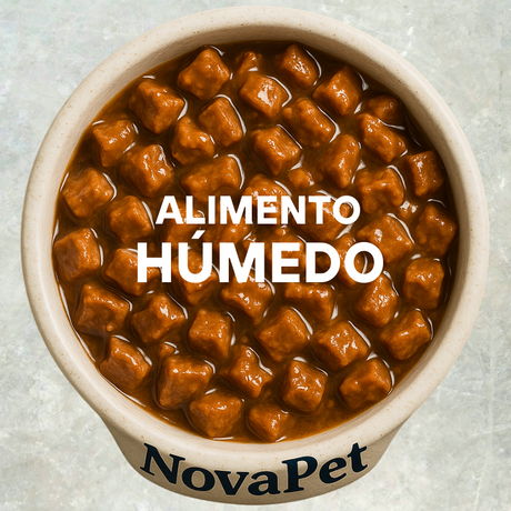 Alimento para Gatos  Alimento para Gatos