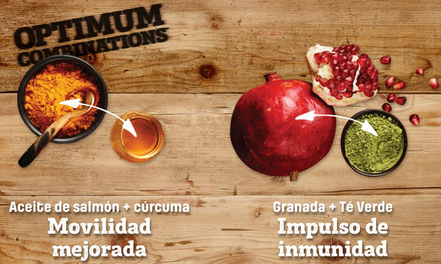 Nutram S10 Sound Balanced Wellness 11 4Kg Nutram S10 Sound Balanced Wellness 11 4Kg