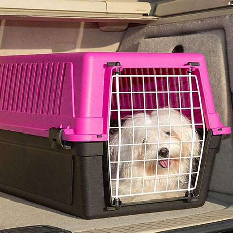 Transportadoras y Bolsos para Perros Ferplast Transportador Atlas 20 Hasta 8Kg Transportadoras y Bolsos para Perros Ferplast Transportador Atlas 20 Hasta 8Kg