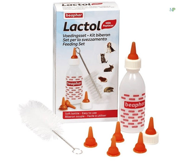 Beaphar Set Mamadera Lactol 35Ml  Beaphar Set Mamadera Lactol 35Ml